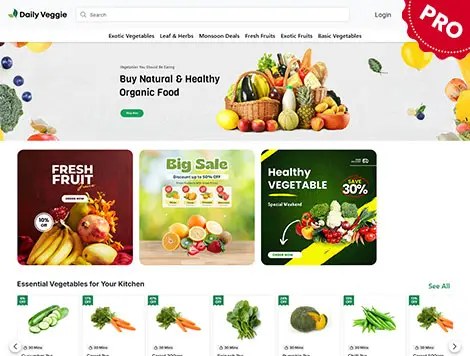Dailyveggie online store built with er4u